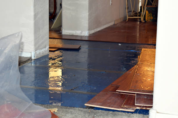 Professional Burst Pipe Cleanup technician working in Peytona, WV